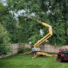 Leaf Removal in Lake Wissota, WI